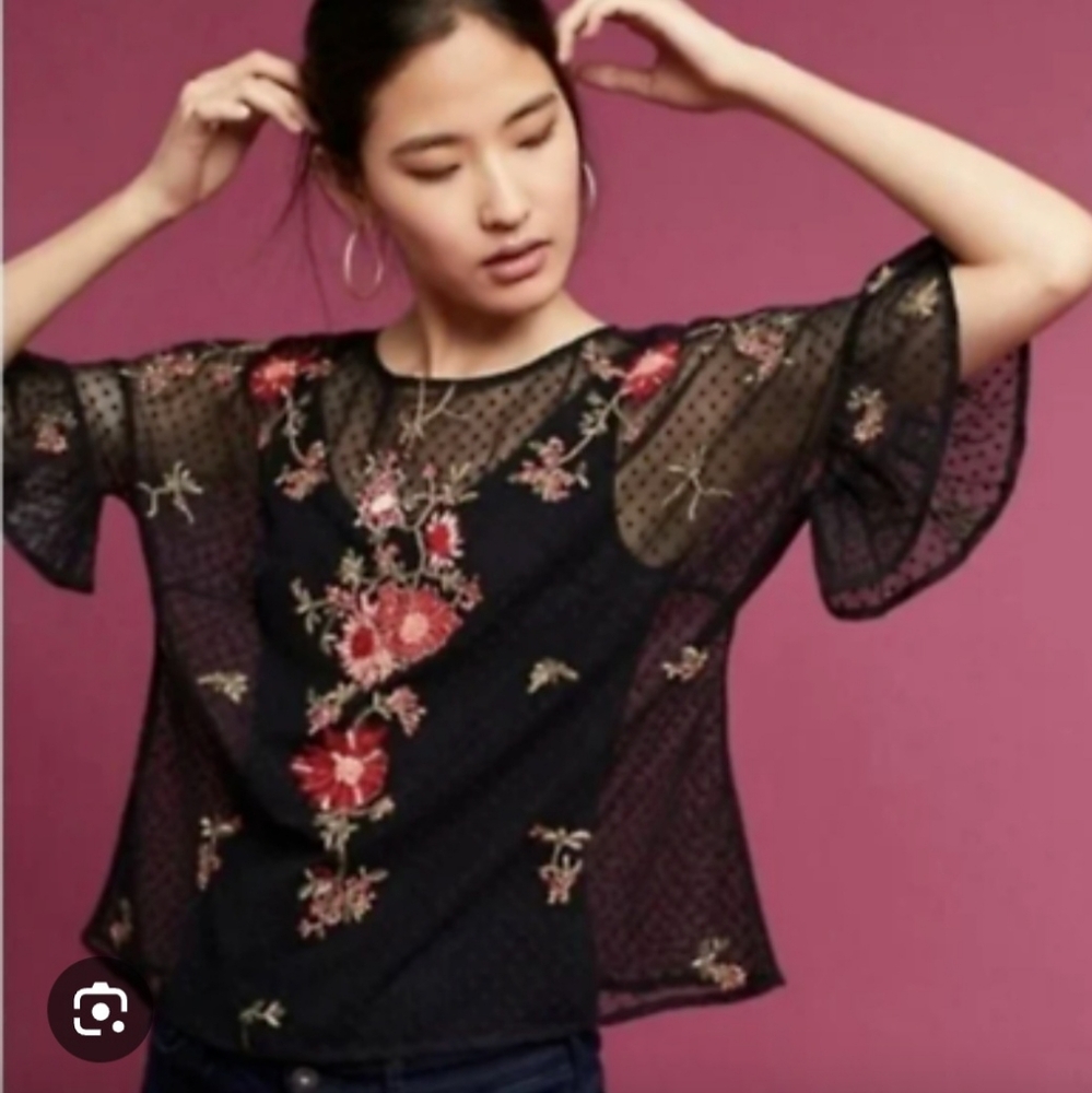 Maeve by anthropologie cadiz mesh floral embroidered ruffle